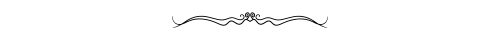 /images/separator/separator_up.png